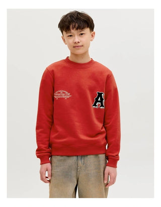 Jack & Jones - JornanTucket Sweatshirt