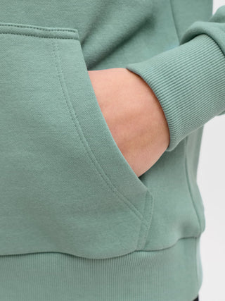 Jack & Jones - Caleb Sweat Hettutroyggja