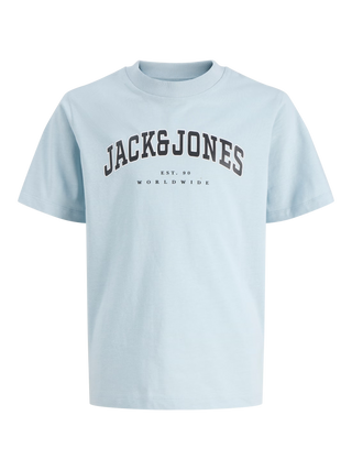 Jack & Jones - Caleb T-shirt