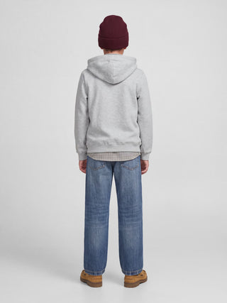 Jack & Jones - Norrebro Zip Hettutroyggja