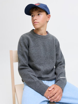 Jack & Jones - Norrebro Knit Troyggja