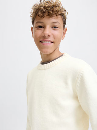 Jack & Jones - Norrebro Knit Troyggja