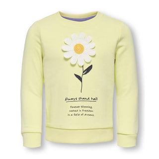 Only - Ginnie Sweatshirt